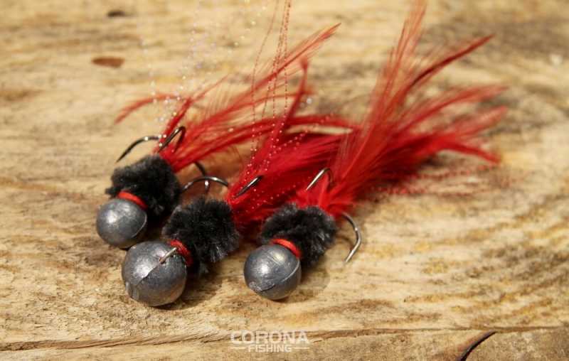 kogut sandaczowy czerwony